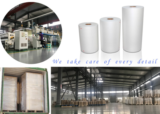 Nhà cung cấp phim cuộn cán nhiệt BOPP chuyên nghiệp đáng tin cậy