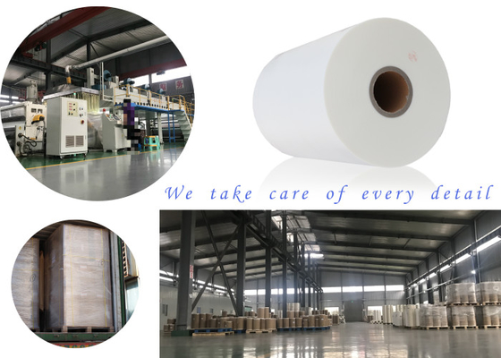 Cuộn phim cán màng chất lượng FDA với độ bóng hoặc mờ